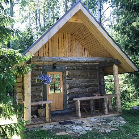 Haaviku Nature Cottage Tepelvalja 외부 사진