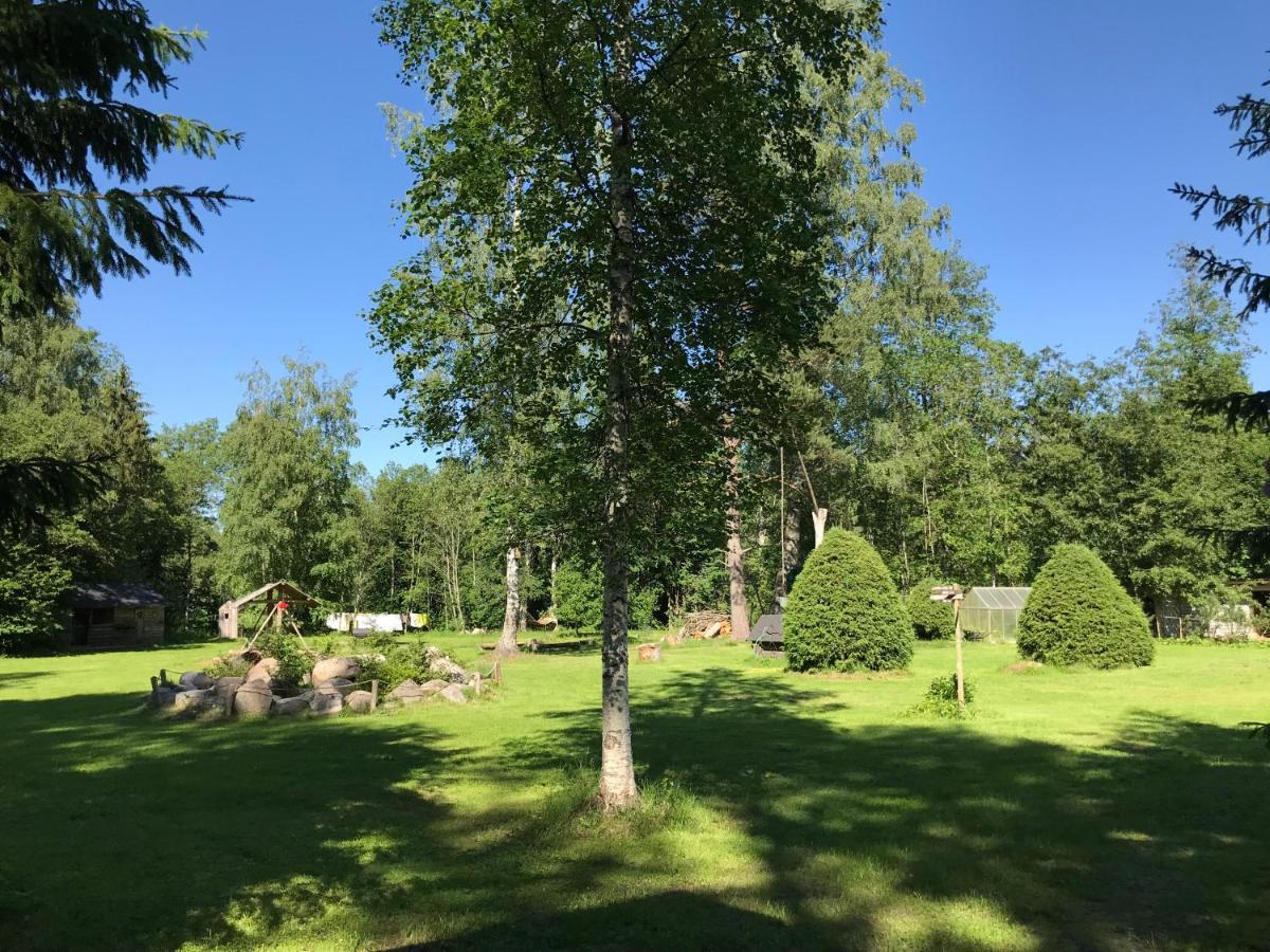 Haaviku Nature Cottage Tepelvalja 외부 사진