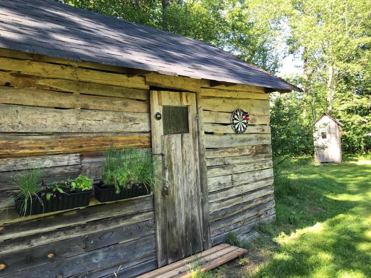 Haaviku Nature Cottage Tepelvalja 외부 사진
