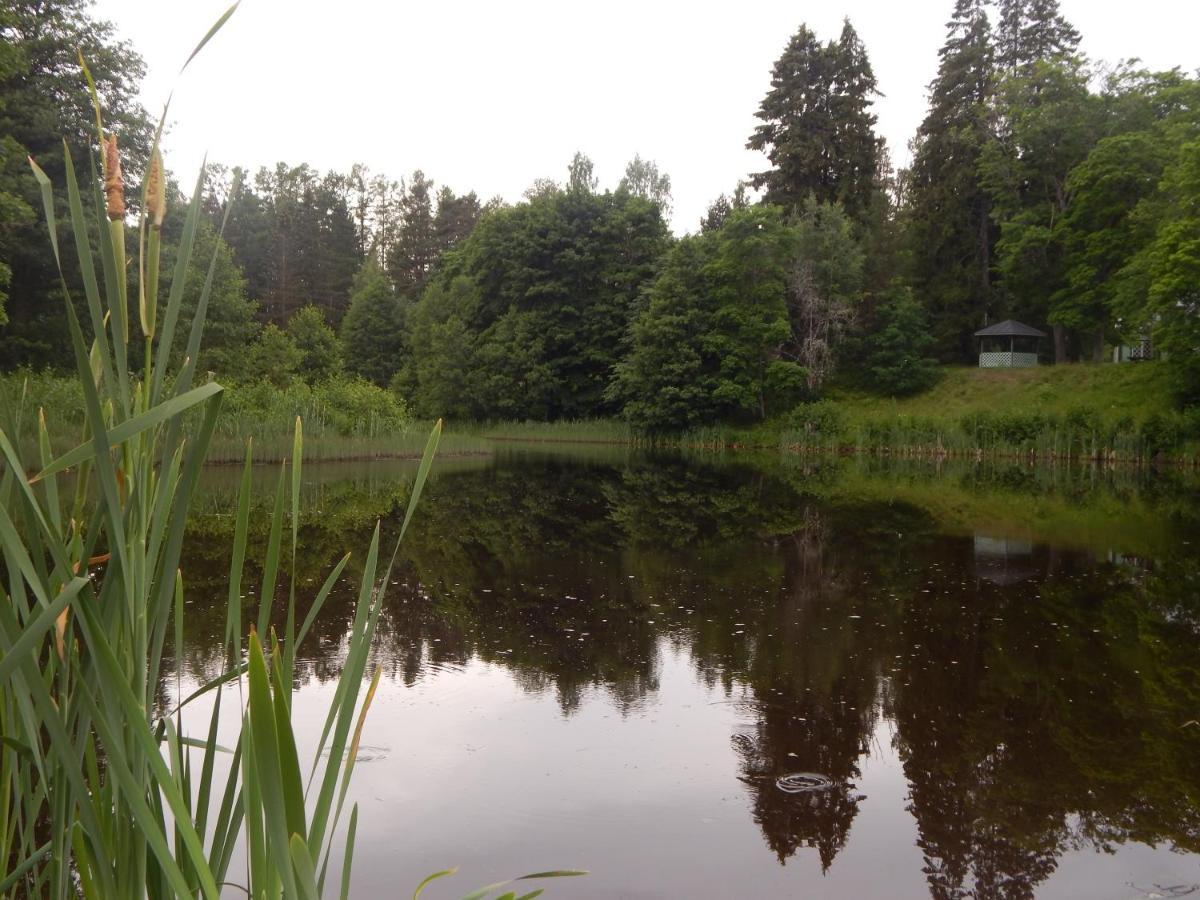 Haaviku Nature Cottage Tepelvalja 외부 사진