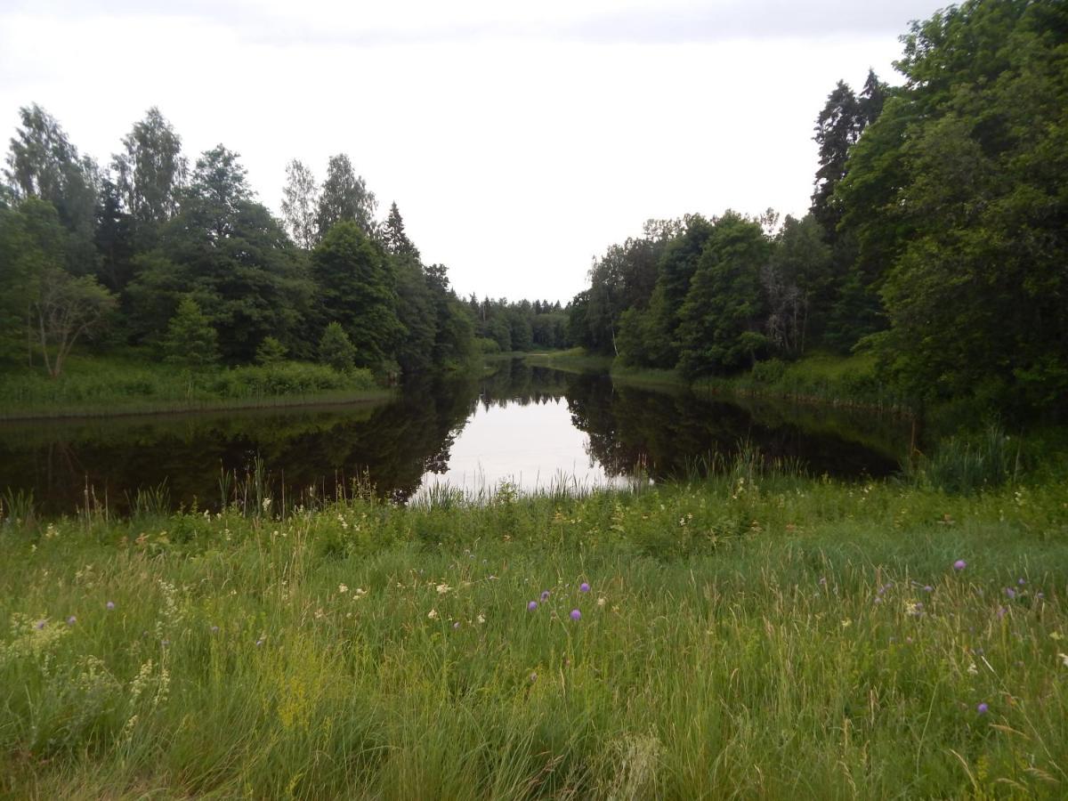 Haaviku Nature Cottage Tepelvalja 외부 사진