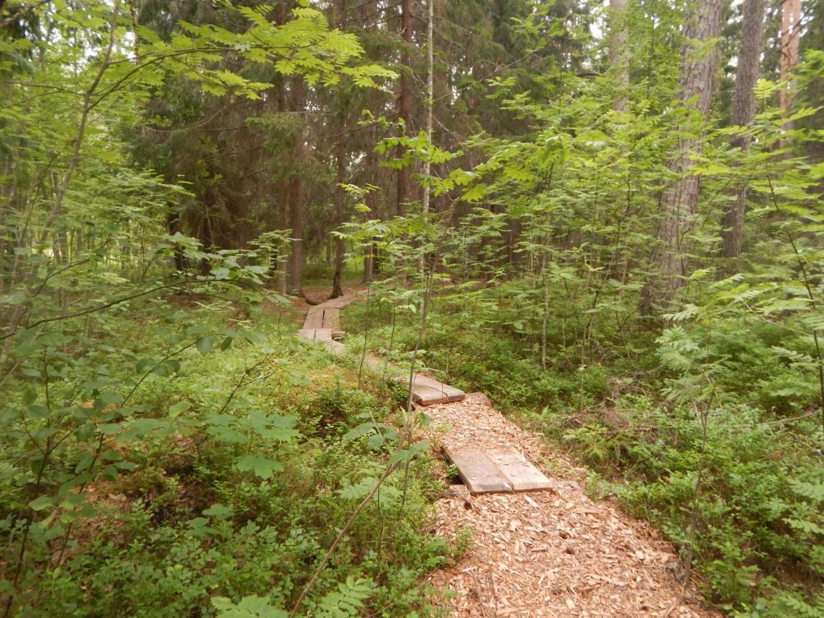 Haaviku Nature Cottage Tepelvalja 외부 사진