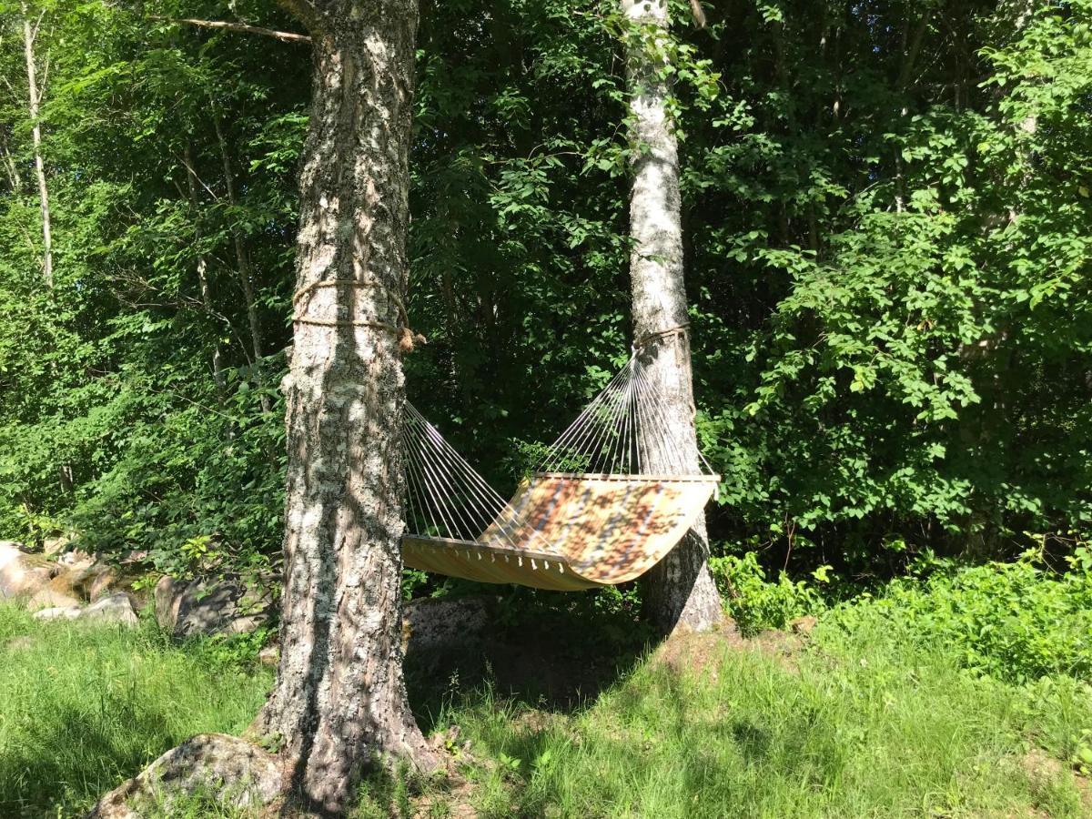 Haaviku Nature Cottage Tepelvalja 외부 사진